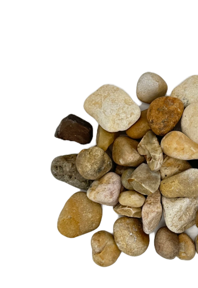 Item Img
