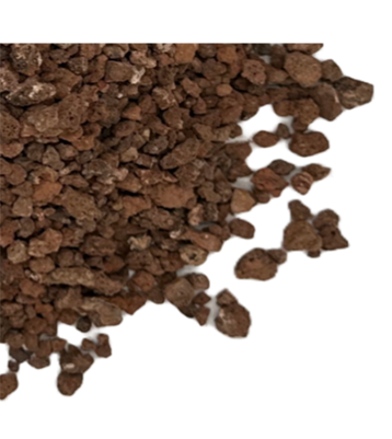 Item Img